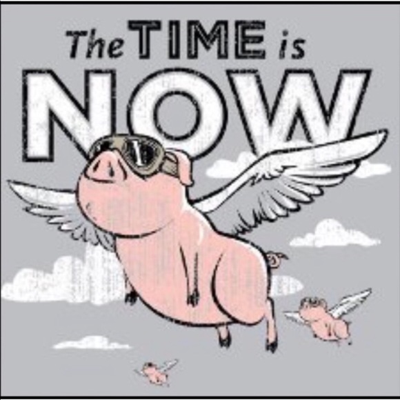 INFORMATION PAGE- The Flying Pig Daily Share Group - Picture 5 of 6